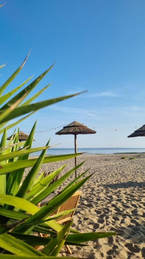 Cocon Du Lac Mobilhome 3 Chambres,6 Pers,Camping Mayotte 5 Etoiles Biscarrosse Landes מראה חיצוני תמונה